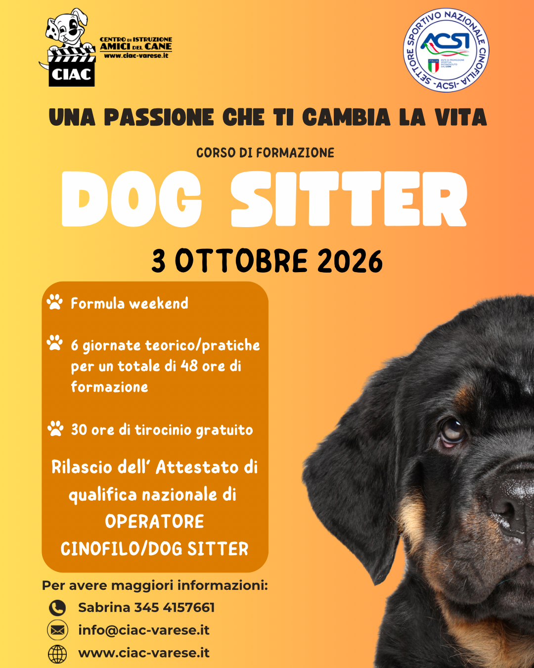 corso dog sitter 2026 Corso Dog Sitter 2026